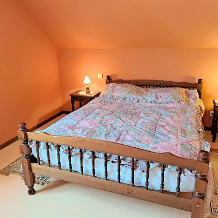 House In Vosges Near Lichtenberg Castle Holiday home